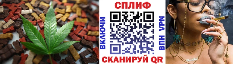 закладки  Сясьстрой  Canna-Cookies конопля 