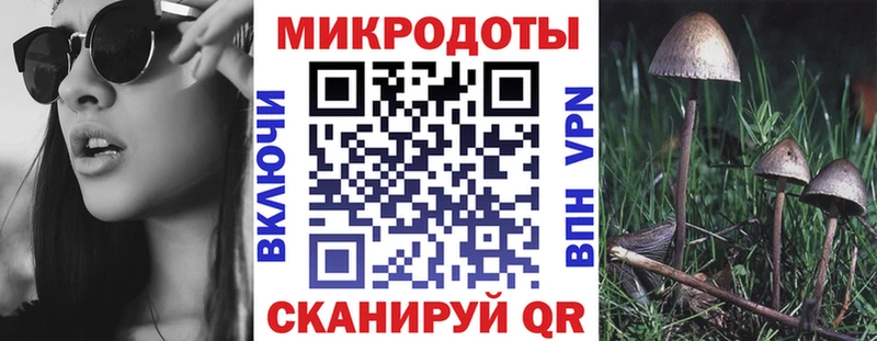 мега зеркало Сясьстрой Псилоцибиновые грибы мицелий